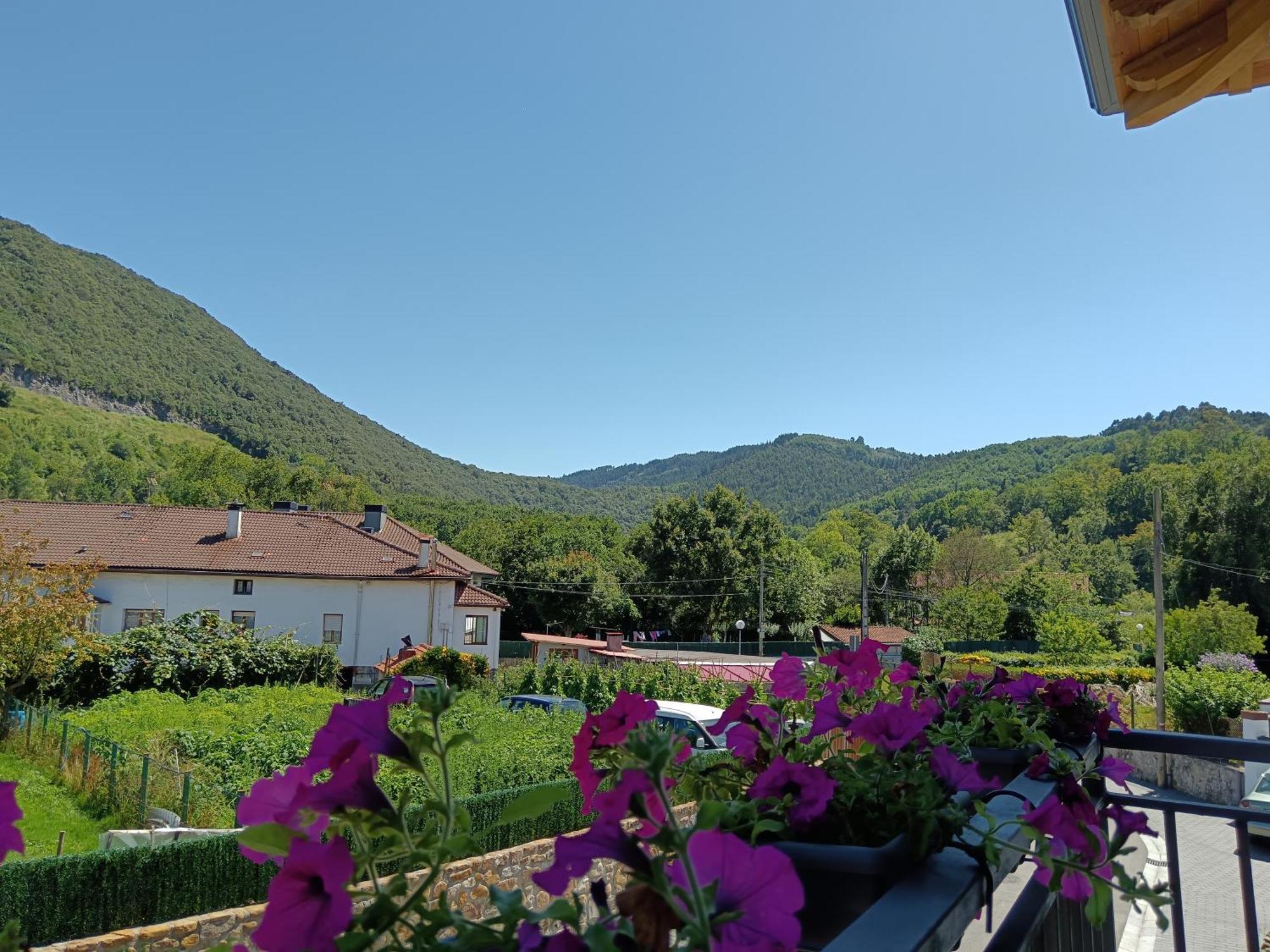 Urdaibai Mungabe Διαμέρισμα Busturia Εξωτερικό φωτογραφία